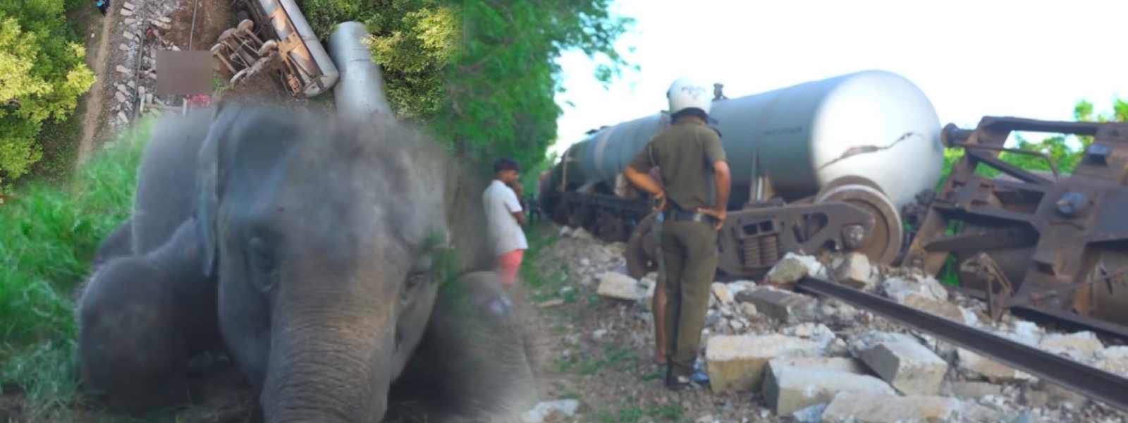 මින්නේරිය ඛේදවාචකය සම්බන්ධයෙන් පරික්ෂණයක්...